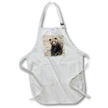 Apron - Close up. Grizzly bear sow in spring snowfall. Bears
