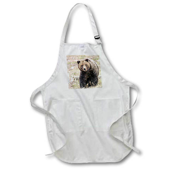 Apron - Close up. Grizzly bear sow in spring snowfall. Bears