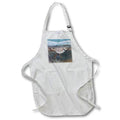 Apron - Plover Bird on beach lee Illustrations - Birds