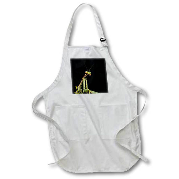 Apron - Preying Mantis Insect Isolated Against Black Photography - Preying Mantis