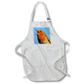 Apron - Robin Redbreast In Song Close Up Vector Vector Art - Robin
