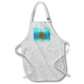 Apron - Classic nautical compass design for sailors boating and sailing. Creative Studios – Sailing