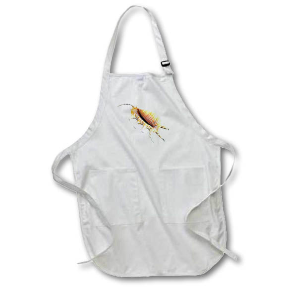 Apron - An Ocean Shell called Strombidae Graphics Ocean