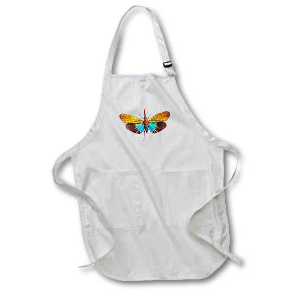 Apron - A colorful cicada called Pyrogyncha Graphics Insect