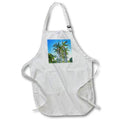 Apron - Palm Trees in California Photography Landscape
