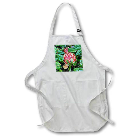Apron - TOADSTOOL MUSHROOM PHOTO 2022 DYLAN SEIBOLD - PHOTOGRAPHY
