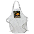 Apron - ORANGE TREE FUNGUS DYLAN SEIBOLD - PHOTOGRAPHY
