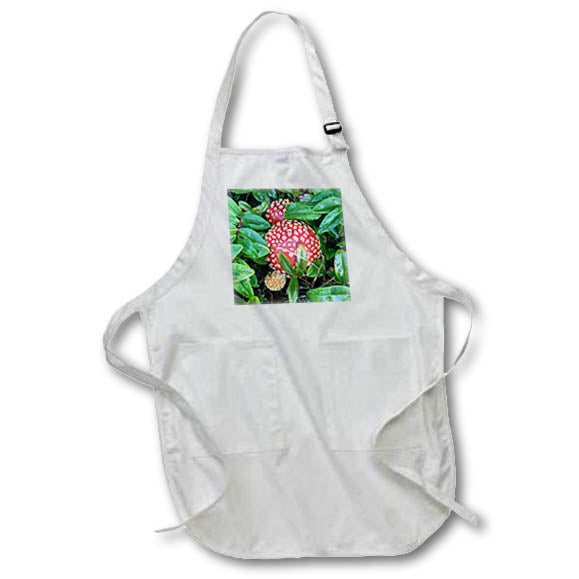 Apron - TOADSTOOL MUSHROOM PHOTO 2022 DYLAN SEIBOLD - PHOTOGRAPHY