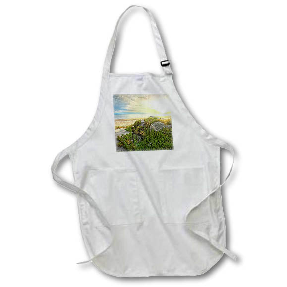 Apron - Carpinteria Beach at Sunset Photography Landscape