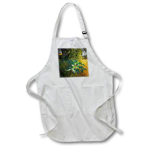 Apron - Backlit Trail Scene Photography Landscape