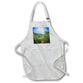 Apron - Canyon Wildflowers Photography Landscape