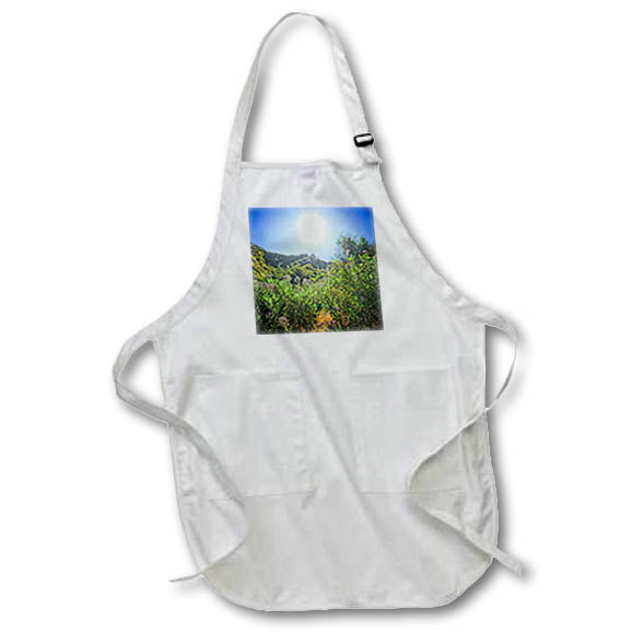 Apron - Canyon Wildflowers Photography Landscape