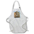 Apron - Shield Portrait, Philosopher At Aphrodisias Photography - Philosopher Sculpted Relief