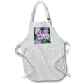 Apron - Brachycome Close Up Photography Photography - Aster