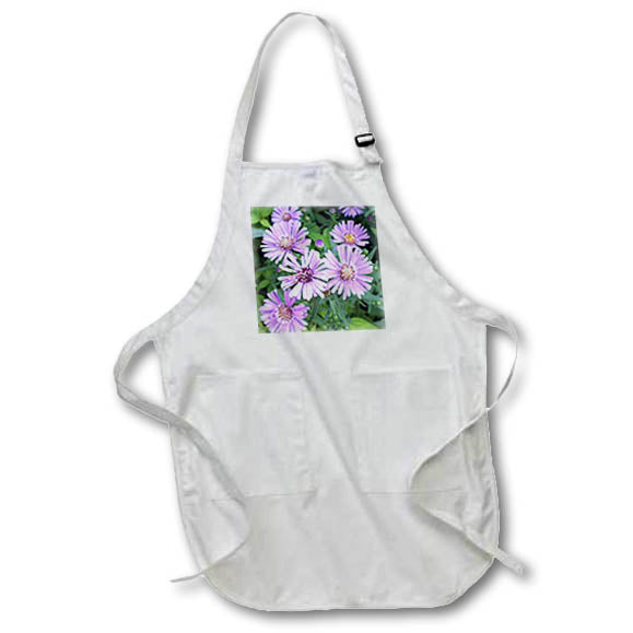 Apron - Brachycome Close Up Photography Photography - Aster