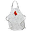 Apron - Beautiful Red Rose Isolated Vector Vector Art - Red Rose