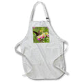 Apron - Brown longtail nectaring at lantana blooms Fauna