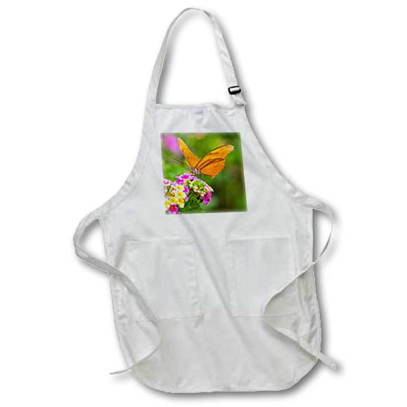 Apron - Julia Heliconian nectaring at lantana flowers Fauna