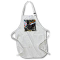 Apron - The Australian cattle dog. Fauna