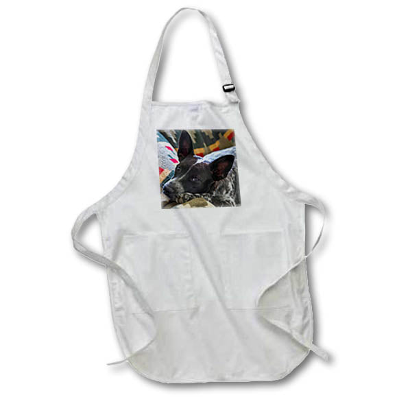 Apron - The Australian cattle dog. Fauna