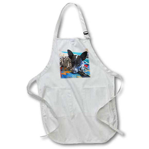 Apron - Australian cattle dog. Fauna