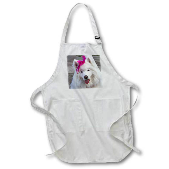 Apron - Samoyed in Palm Desert, California. Fauna