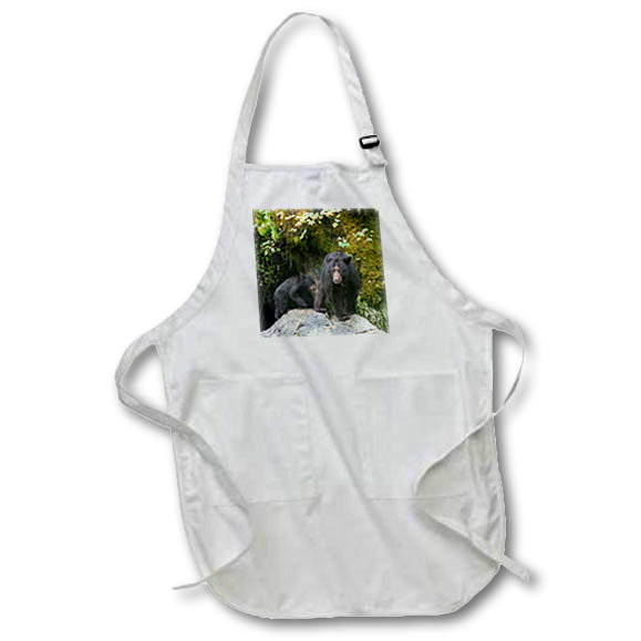 Apron - Black bear cub following its mama at Anan Creek. Alaska