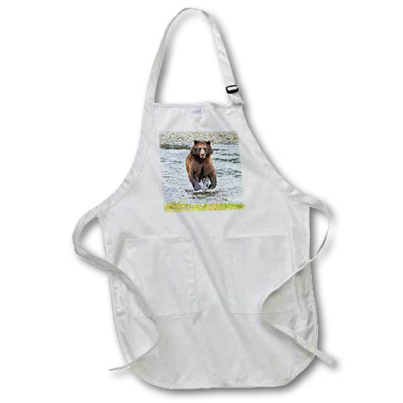Apron - Brown bear chases after a salmon dinner at Pack Creek. Alaska