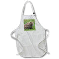 Apron - Brown bear cub eating sedge grasses 1. Alaska