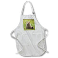 Apron - Brown bear cub eating sedge grasses 2. Alaska