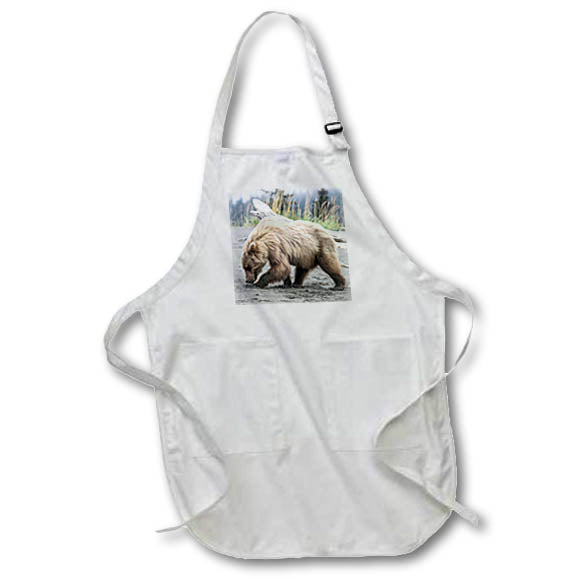 Apron - Brown bear beachcombs along Cook Inlet. Alaska