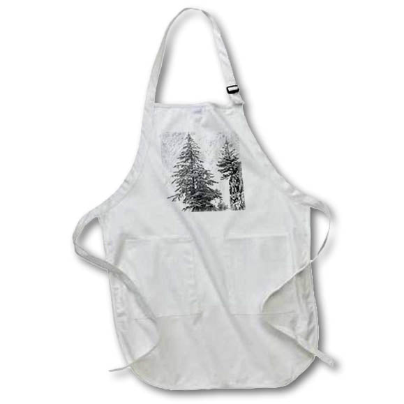 Apron - Alaska, Kenai Peninsula. Black and white. Pine tree on monolith. Alaska