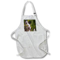 Apron - Kenai Peninsula. Two waterfalls surrounded by pine trees Alaska