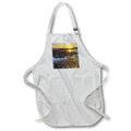 Apron - Alaska, Homer Spit. A sunset landscape over tide pools 1. Alaska