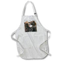 Apron - Alaska, Brooks Falls, Two young grizzly bears playing. Alaska
