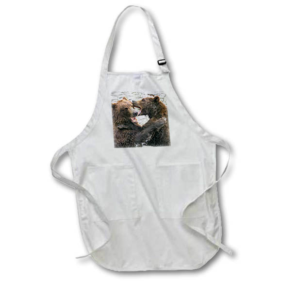 Apron - Alaska, Brooks Falls, Two young grizzly bears playing. Alaska