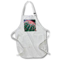 Apron - Apache Junction, Arizona, USA, Flowering cactus Arizona