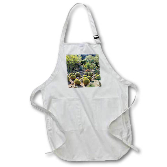 Apron - Arizona, USA. Saguaro Cactus Arizona