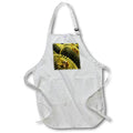 Apron - Apache Junction, Arizona, USA. Cactus Arizona