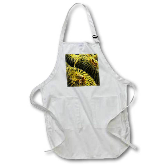 Apron - Apache Junction, Arizona, USA. Cactus Arizona