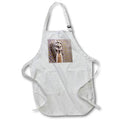 Apron - Arizona, USA. Stucco mask Arizona