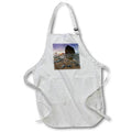 Apron - USA, Oregon. Cannon Beach and Haystack Rock at sunset 2. Oregon