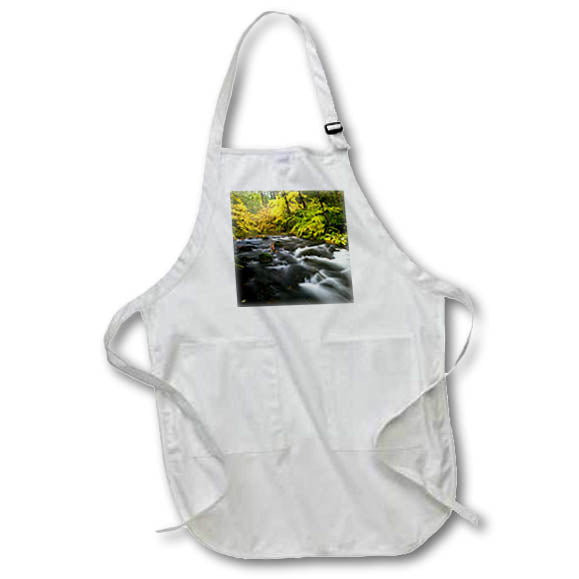 Apron - USA, Oregon, Silver Fall State Park. Fall colors Silver Falls Creek. Oregon