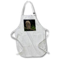 Apron - Eastern Screech-owl, Central Pennsylvania Pennsylvania