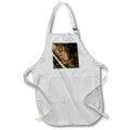 Apron - Spring peeper calling, Pennsylvania, USA 1. Pennsylvania