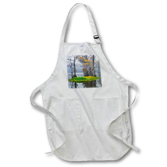 Apron - Caddo Lake morning 2 Texas