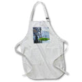 Apron - Caddo Lake morning 3 Texas