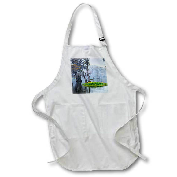 Apron - Caddo Lake morning 3 Texas