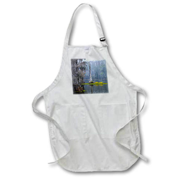 Apron - Caddo Lake morning 4 Texas