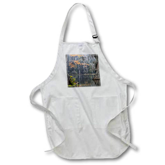 Apron - Caddo Lake, Texas 1 Texas